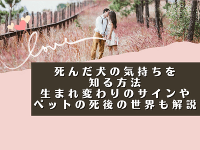 死んだ犬の気持ちを知る方法｜生まれ変わりのサインやペットの死後の世界も解説